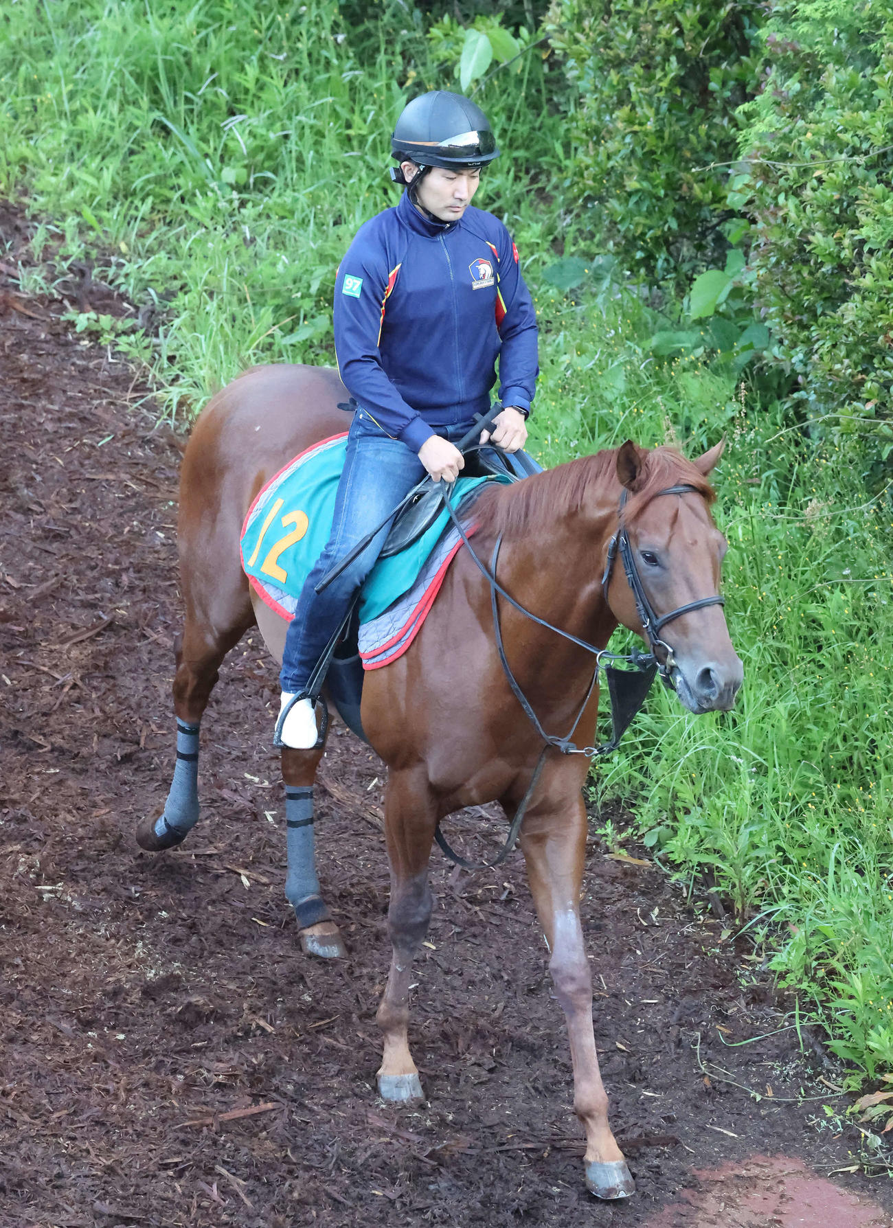 逍遙馬道で運動するマローディープ（2022年5月25日撮影）