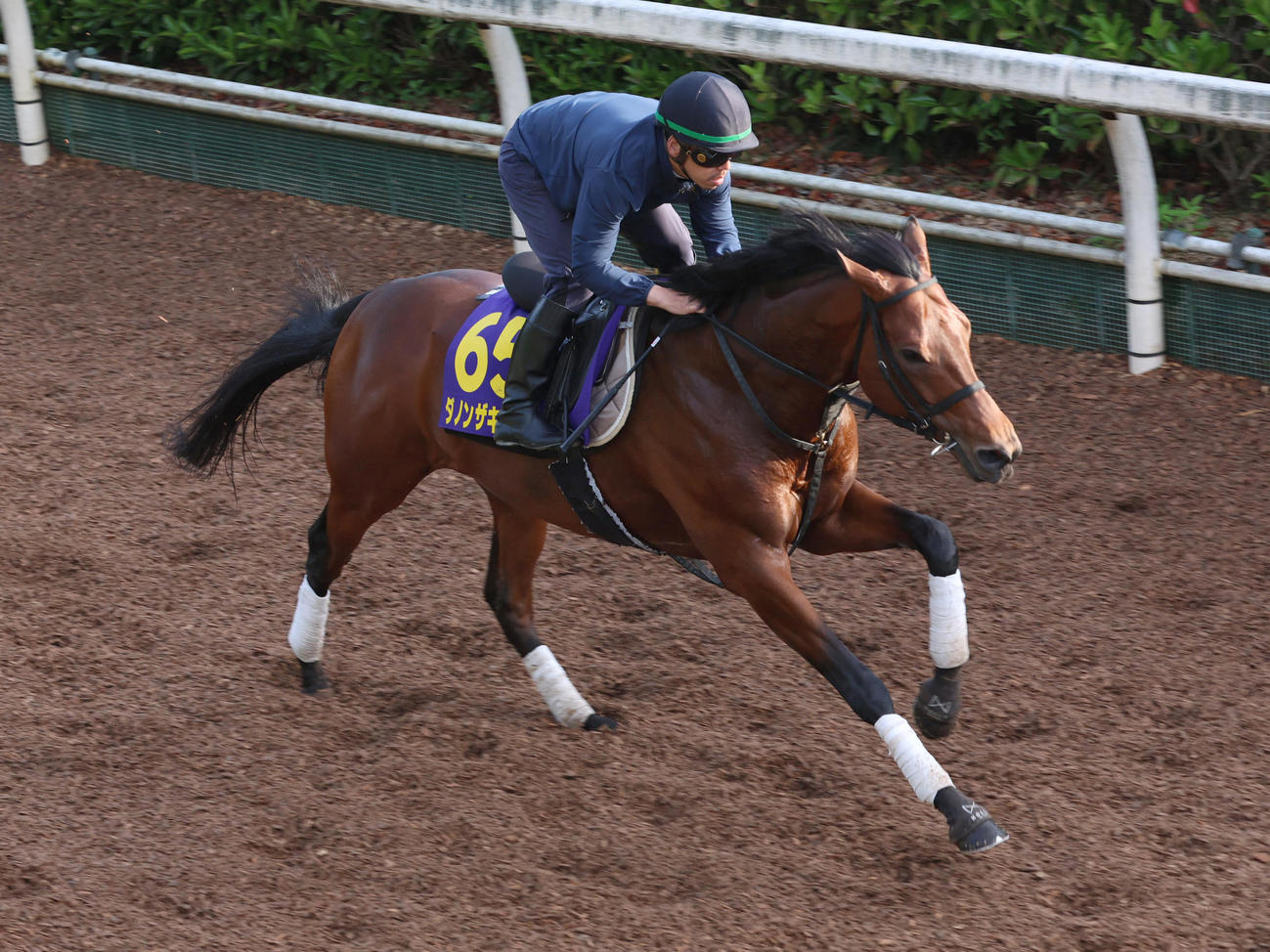 坂路で追い切るダノンザキッド