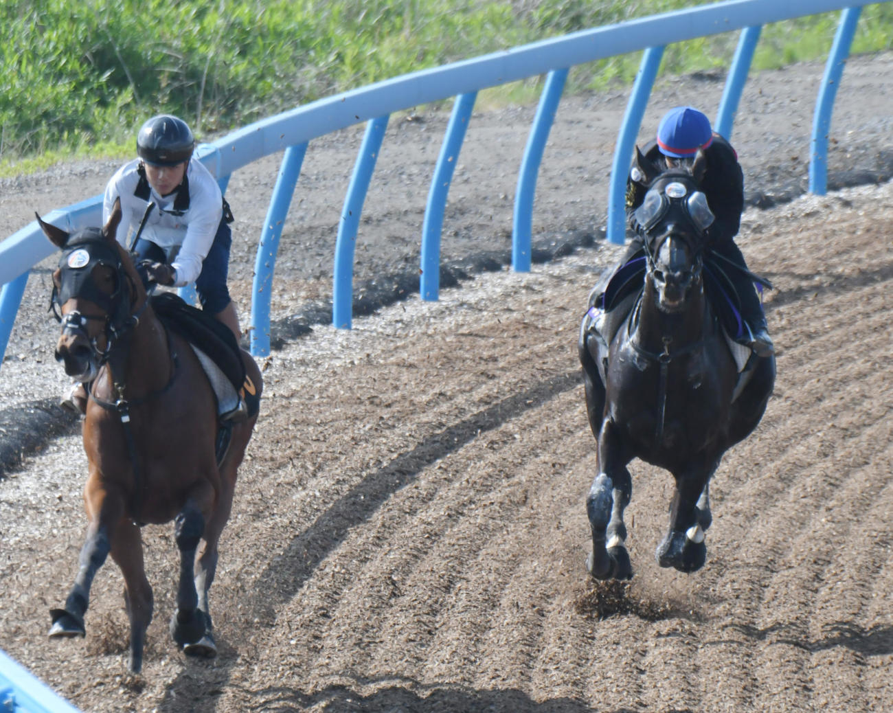 ソングライン（右）は池添騎手を背に、ムーディナルと併せて追い切られた（撮影・酒井清司）