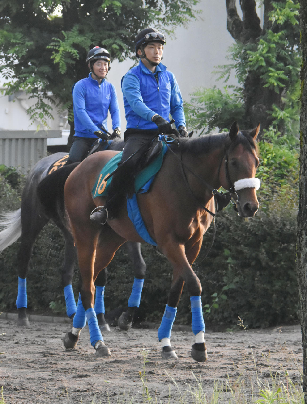 乗り運動するシャンディエン