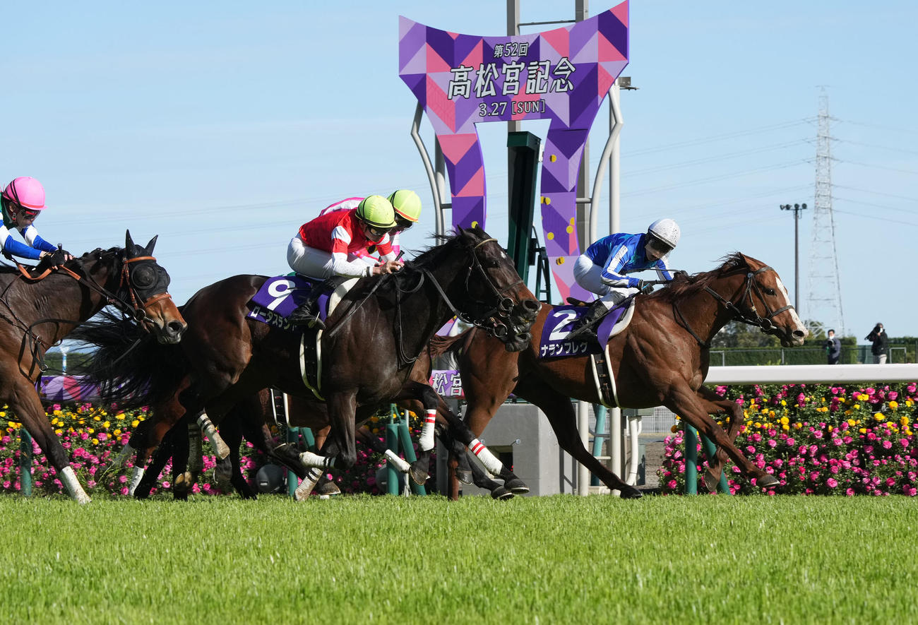 高松宮記念を制したナランフレグ（2022年3月27日撮影）
