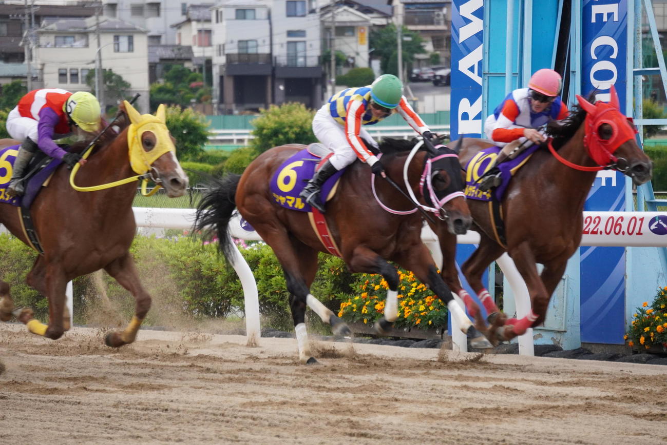 大接戦となったさきたま杯を制したサルサディオーネ（右）