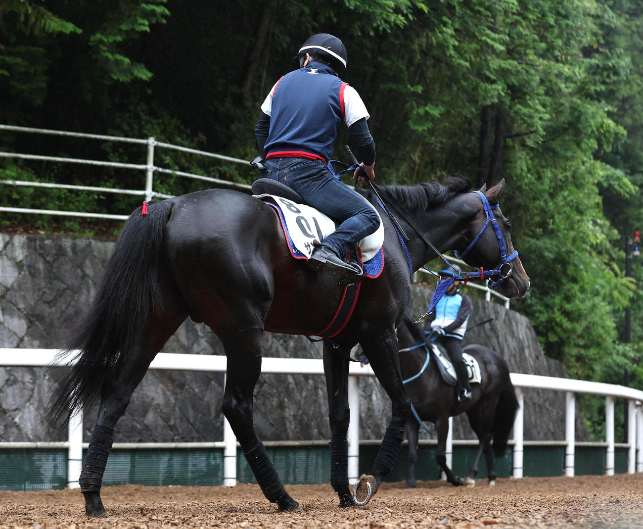 5月31日、逍遥馬道で運動するサンレイポケット