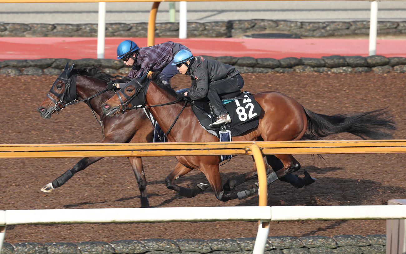 団野騎手を背にCウッドをセルケト（右）と併せ馬で追い切るジェラルディーナ（撮影・白石智彦）