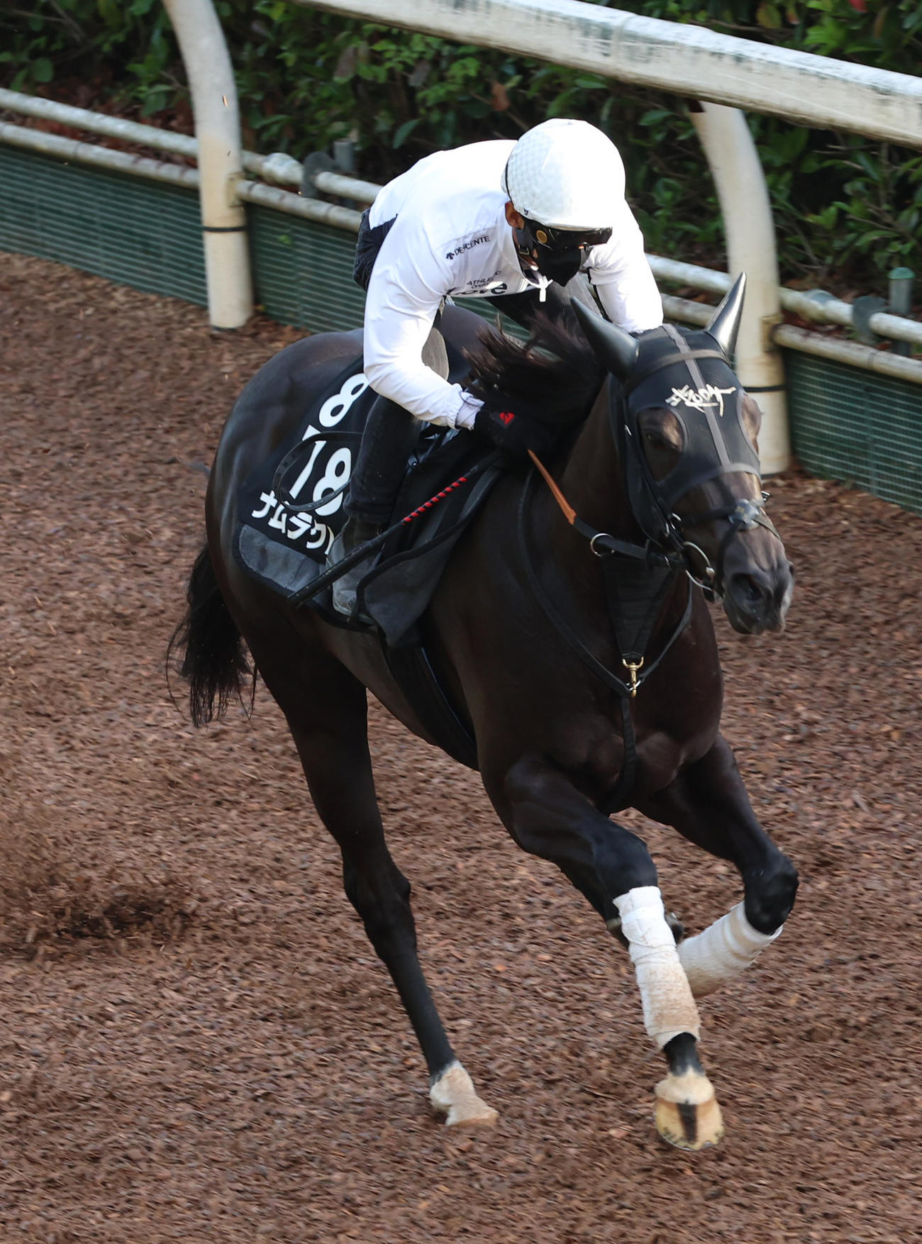 浜中騎手を背に坂路で追い切るナムラクレア　