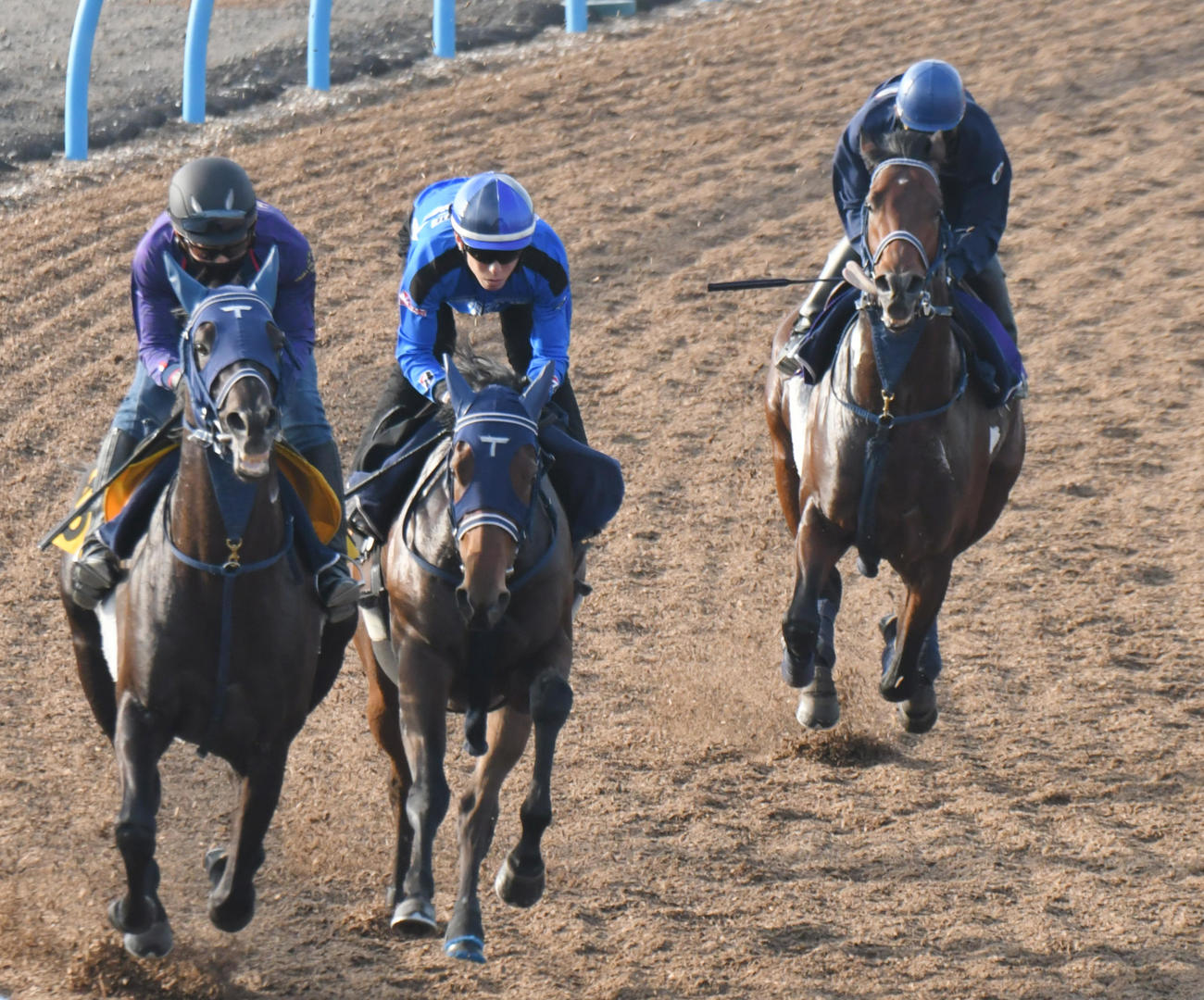 シュネルマイスター（右）は左2頭を追う形で追い切った（撮影・酒井清司）