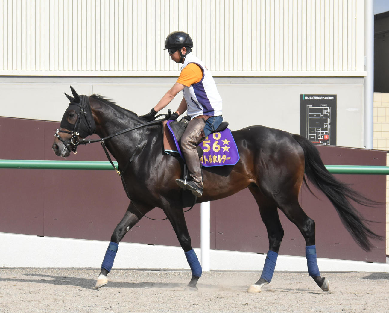宝塚記念に向けて、馬場入りするタイトルホルダー（撮影・酒井清司）