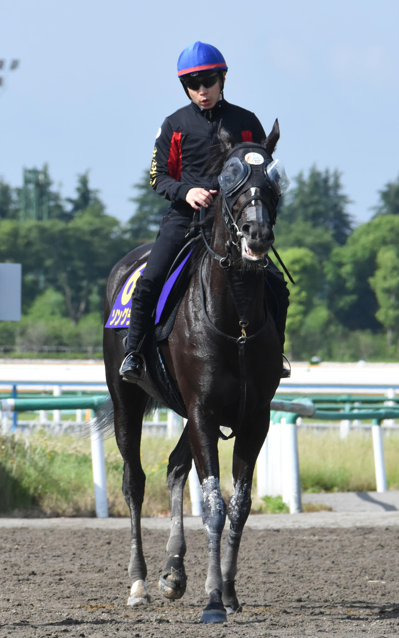 ソングライン（2022年6月1日撮影）