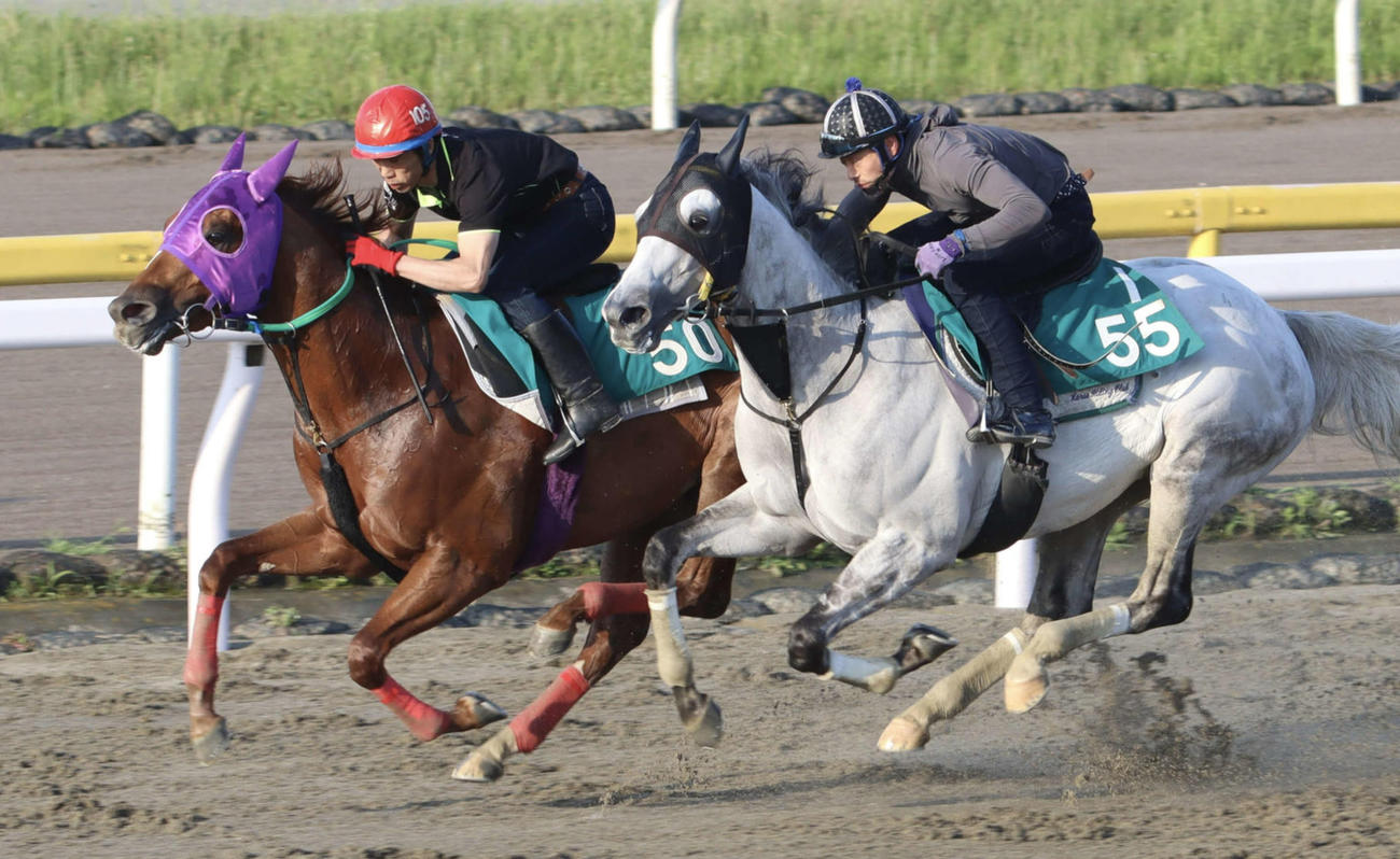 東京ダービーに向けてエルデュクラージュ（右）との併せ馬で追い切るシャルフジン