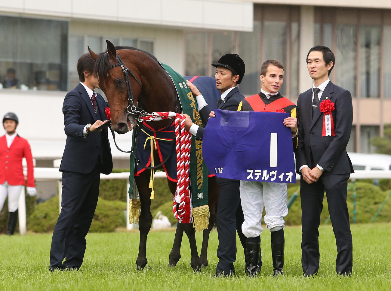 マイルCSを制したステルヴィオ（2018年11月18日撮影）
