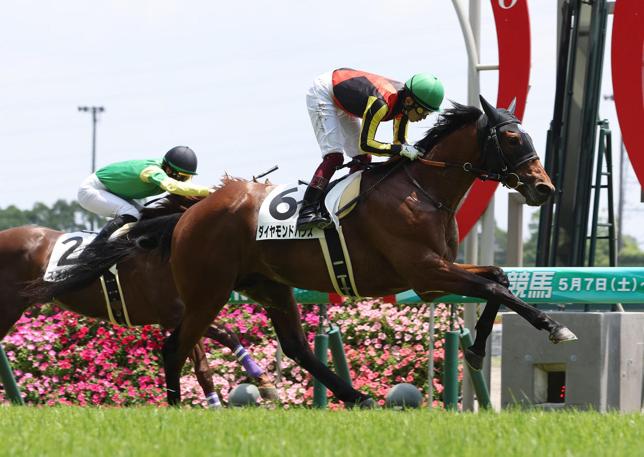 中京5R新馬戦を制して世代一番星に輝いたダイヤモンドハンズ（撮影・白石智彦）