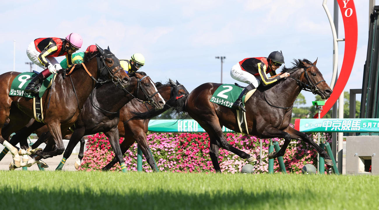 鳴尾記念を制して待望の初重賞制覇を飾ったヴェルトライゼンデ（右）（撮影・白石智彦）