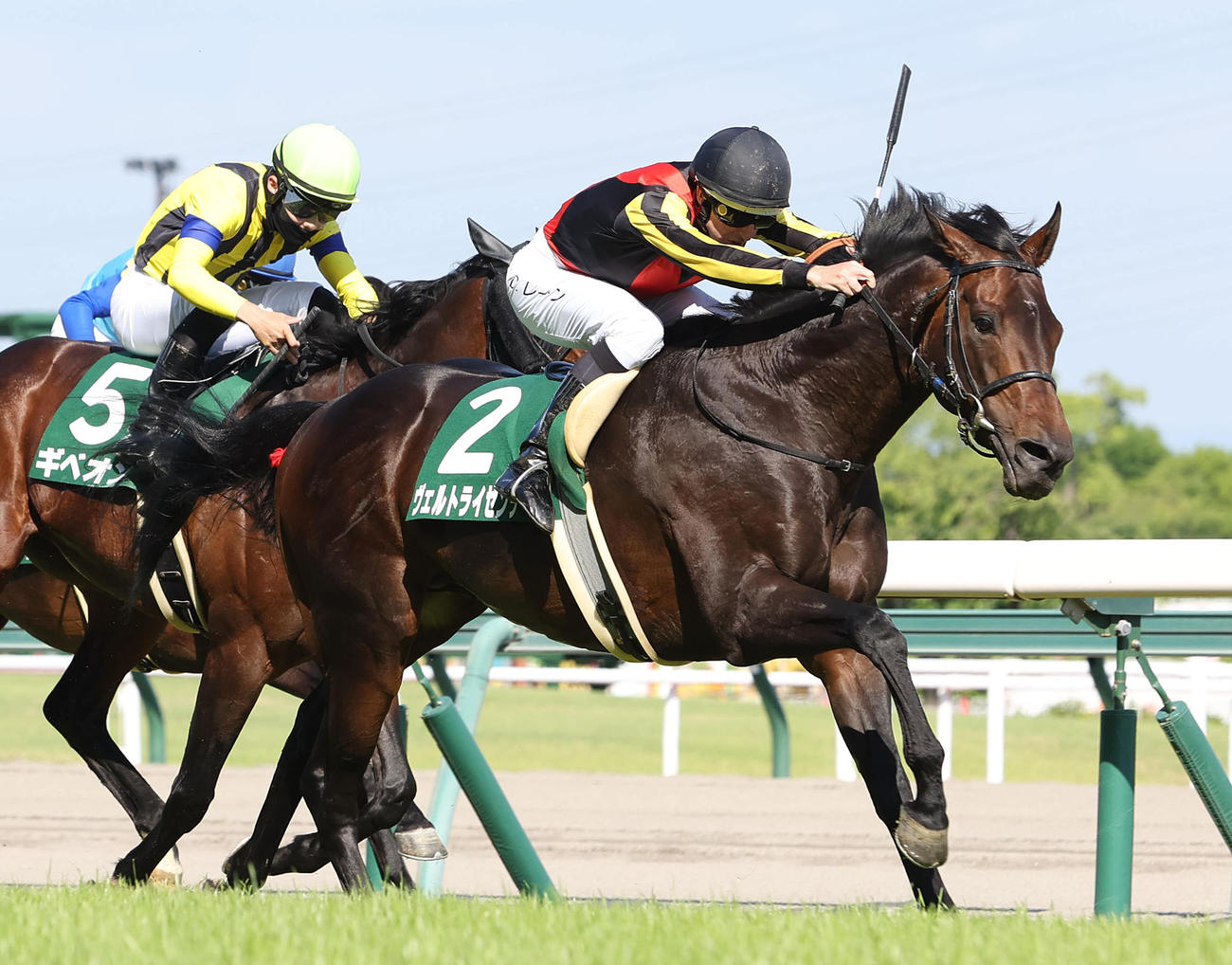 鳴尾記念を制して待望の初重賞制覇を飾ったヴェルトライゼンデ（撮影・白石智彦）