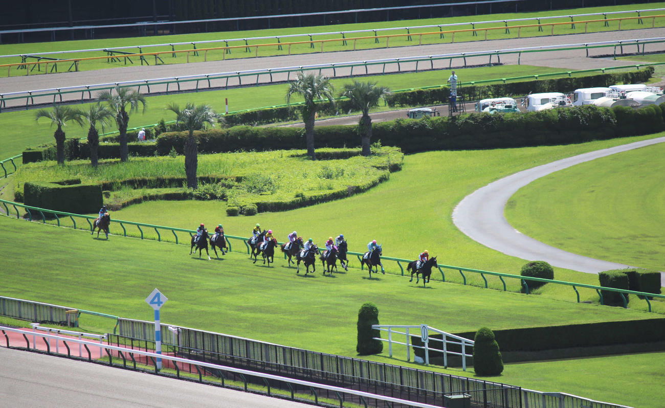 土曜東京1Rのレース風景（撮影・木南友輔）