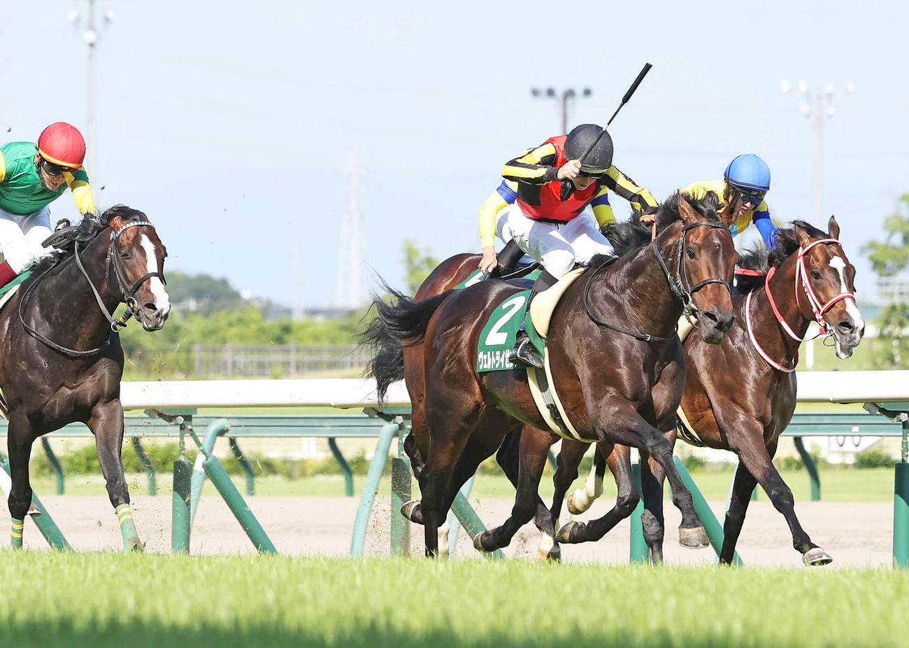 鳴尾記念を制して待望の重賞初Vを飾ったヴェルトライゼンデ（右から2頭目）（撮影・白石智彦）
