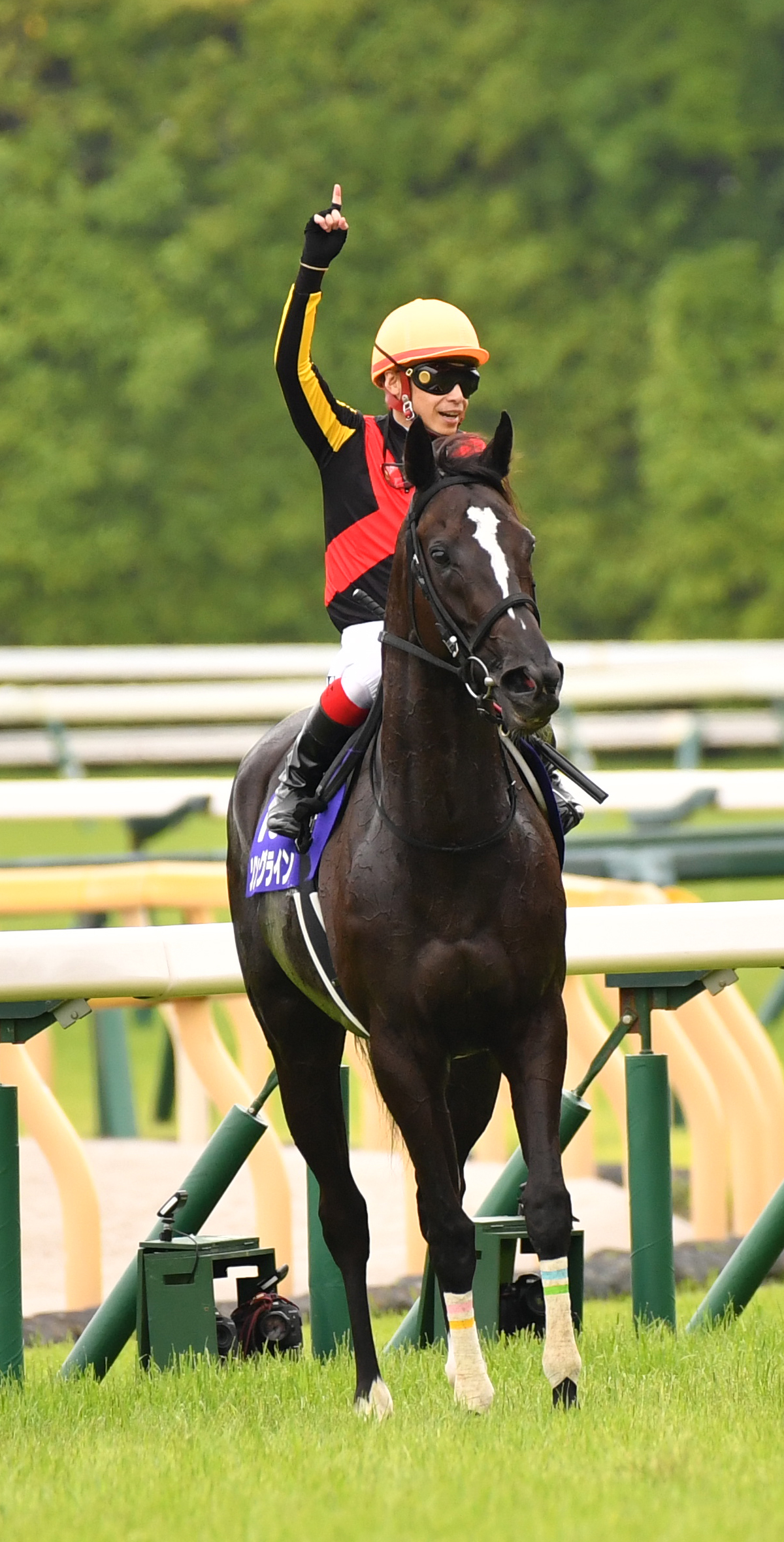 安田記念を制したソングラインの池添騎手はガッツポーズする（撮影・柴田隆二）