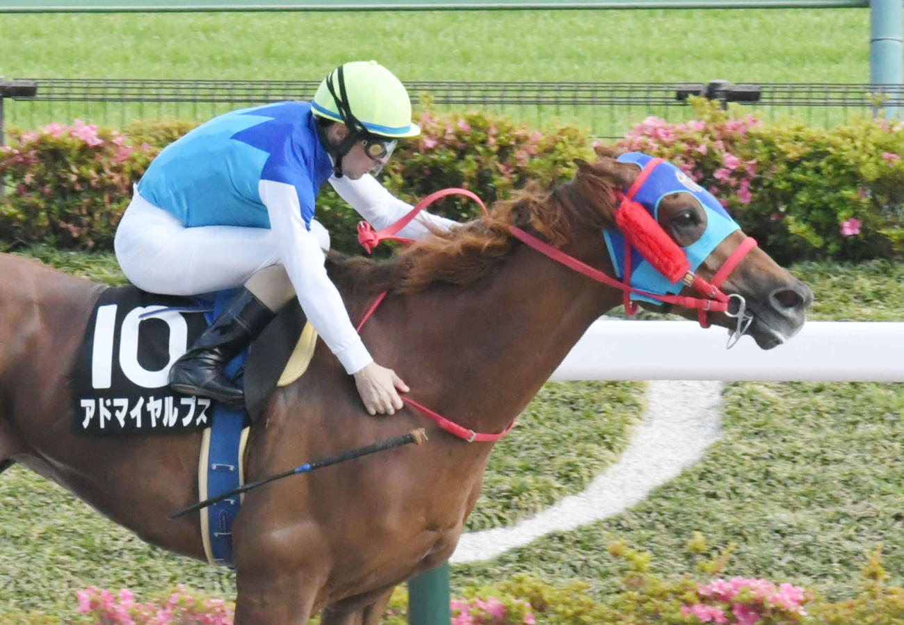 東京11R、アハルテケSで、アドマイヤルプスのルメール騎手は、ゴール前でムチを落としたが圧勝した（撮影・酒井清司）