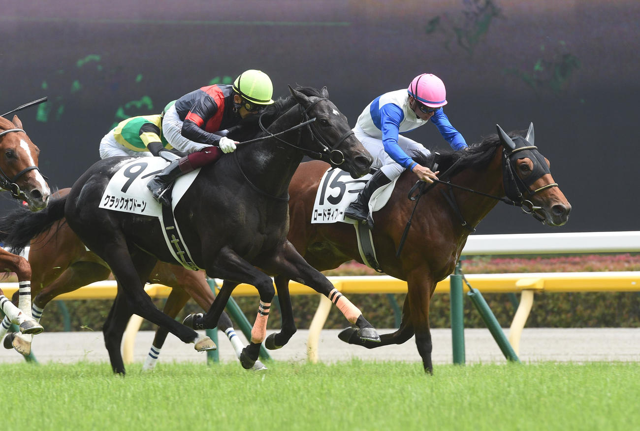 6R新馬戦を制したクラックオブドーン（左）、2着ロードディフィート（撮影・柴田隆二）