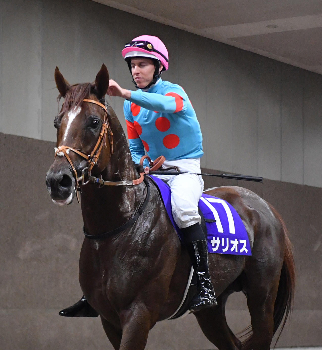 安田記念3着に好走したサリオスをねぎらうレーン騎手