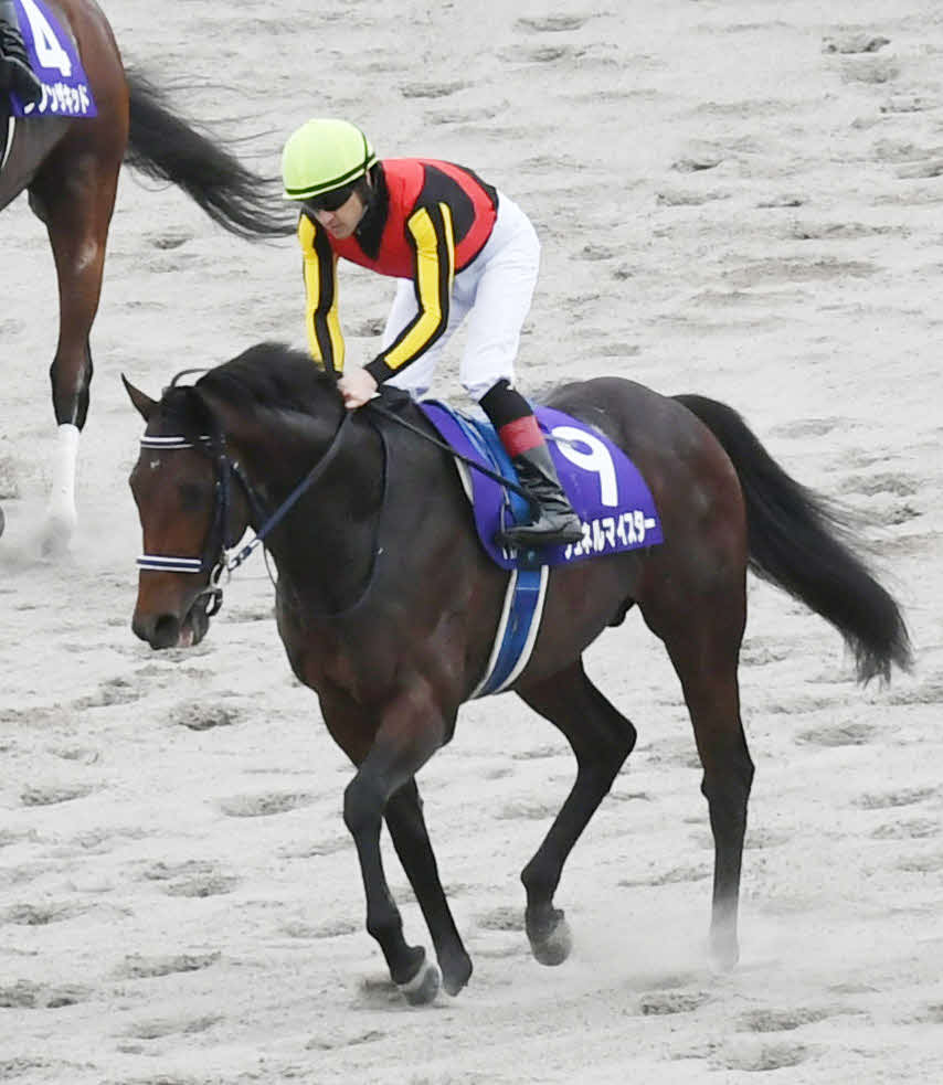 2着に敗れたシュネルマイスターとルメール騎手はガックリ引き揚げる（撮影・酒井清司）