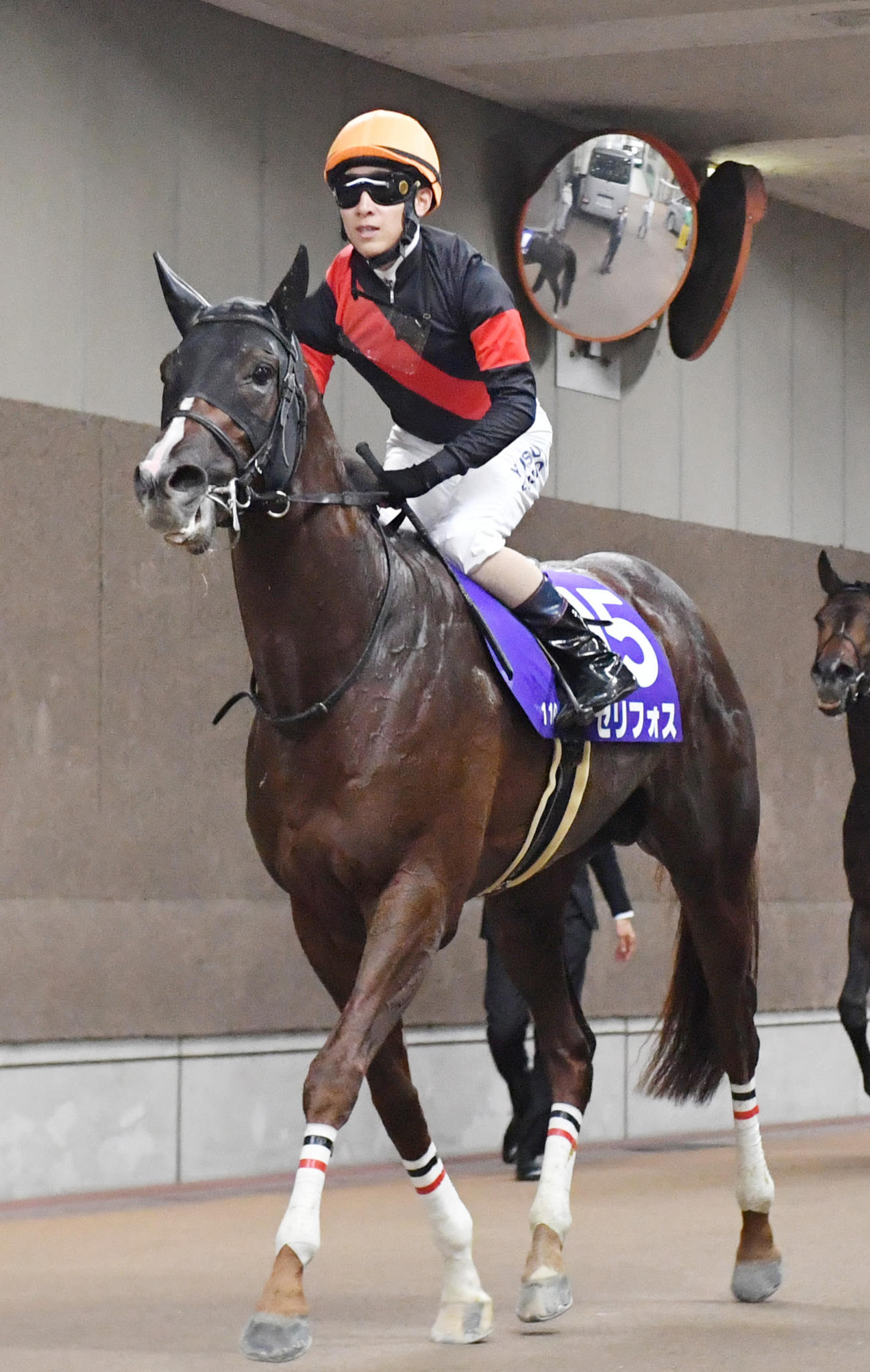 4着に敗れたセリフォスと藤岡佑騎手