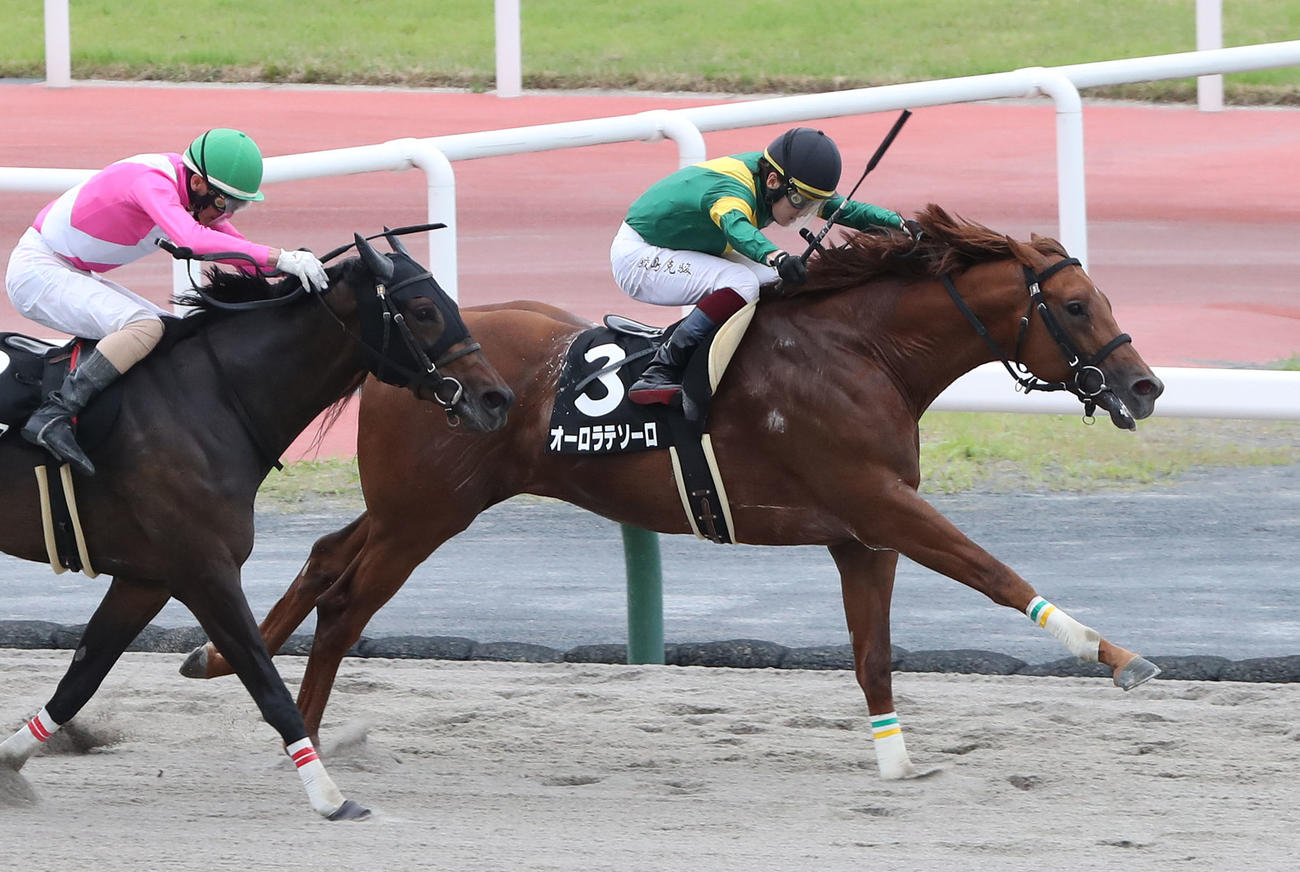 松風月Sを制したオーロラテソーロ（撮影・白石智彦）