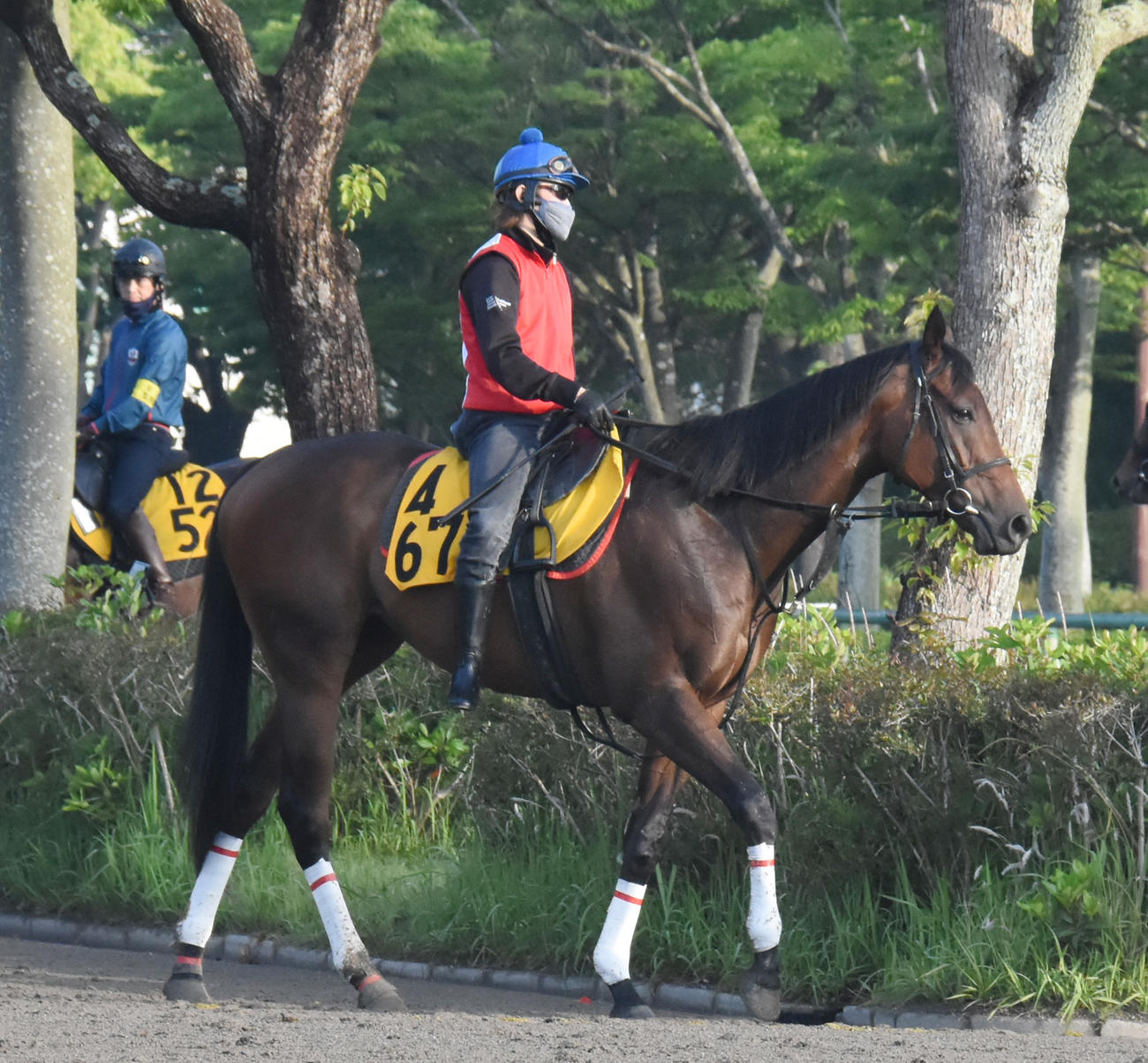 函館スプリントSに出走するキルロード