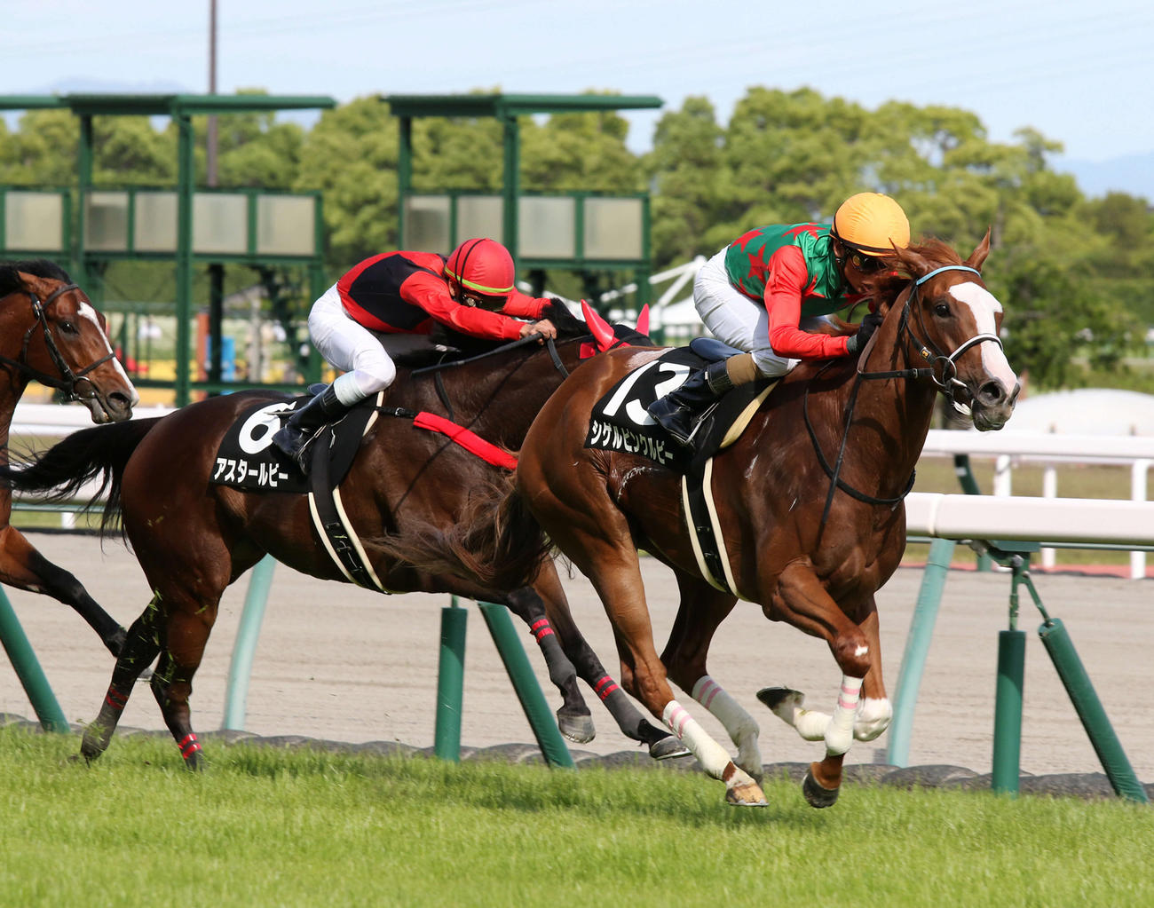 直線抜け出したシゲルピンクルビー（右）が鞍馬Sを快勝した（撮影・渦原淳）