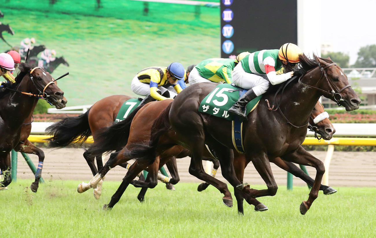直線力強く伸びてエプソムCを制したザダル（2021年6月13日撮影）