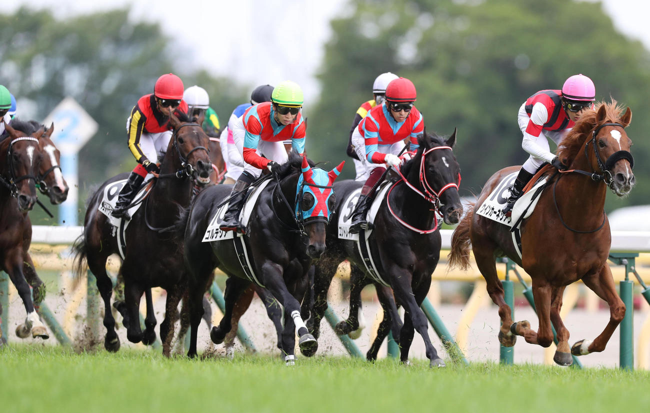 20年ダービー12着のコルテジア（中央）。右から2頭目は勝ったコントレイル