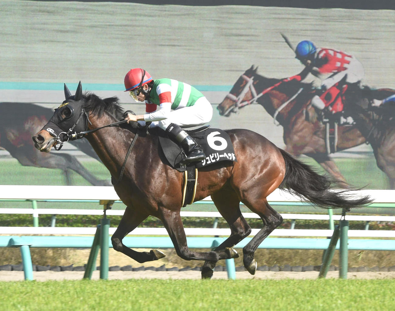船橋Sを制したジュビリーヘッド（2022年4月9日撮影）