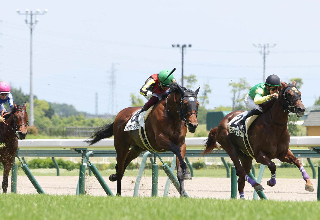 4日、新馬戦を制したダイヤモンドハンズ（右から2頭目）
