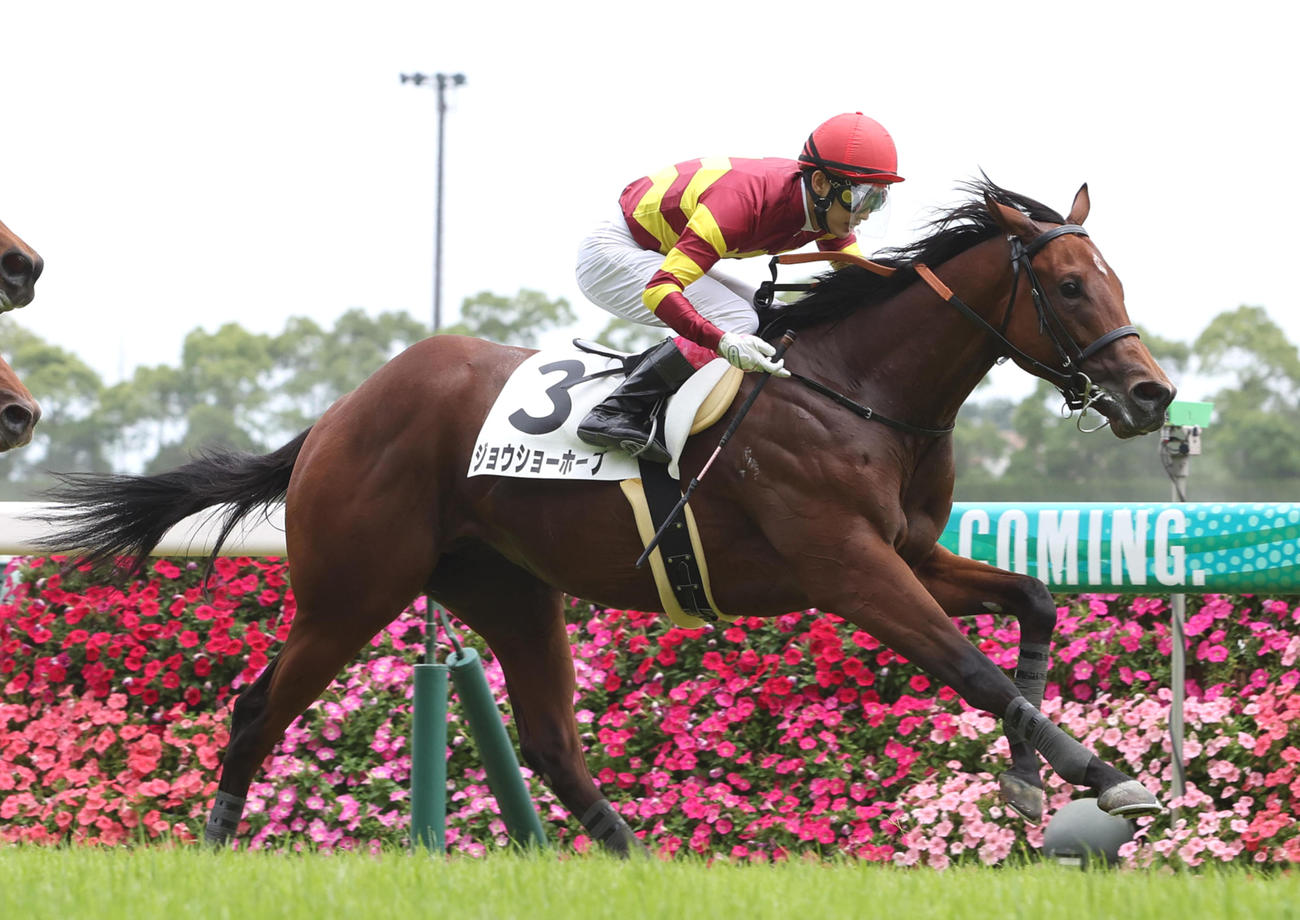 5日、新馬戦を制したジョウショーホープ