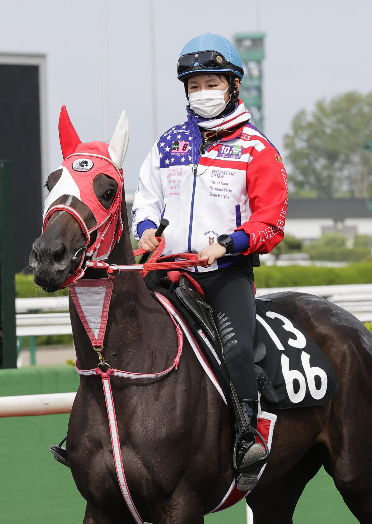 自厩舎の馬の調教に励む古川奈穂騎手