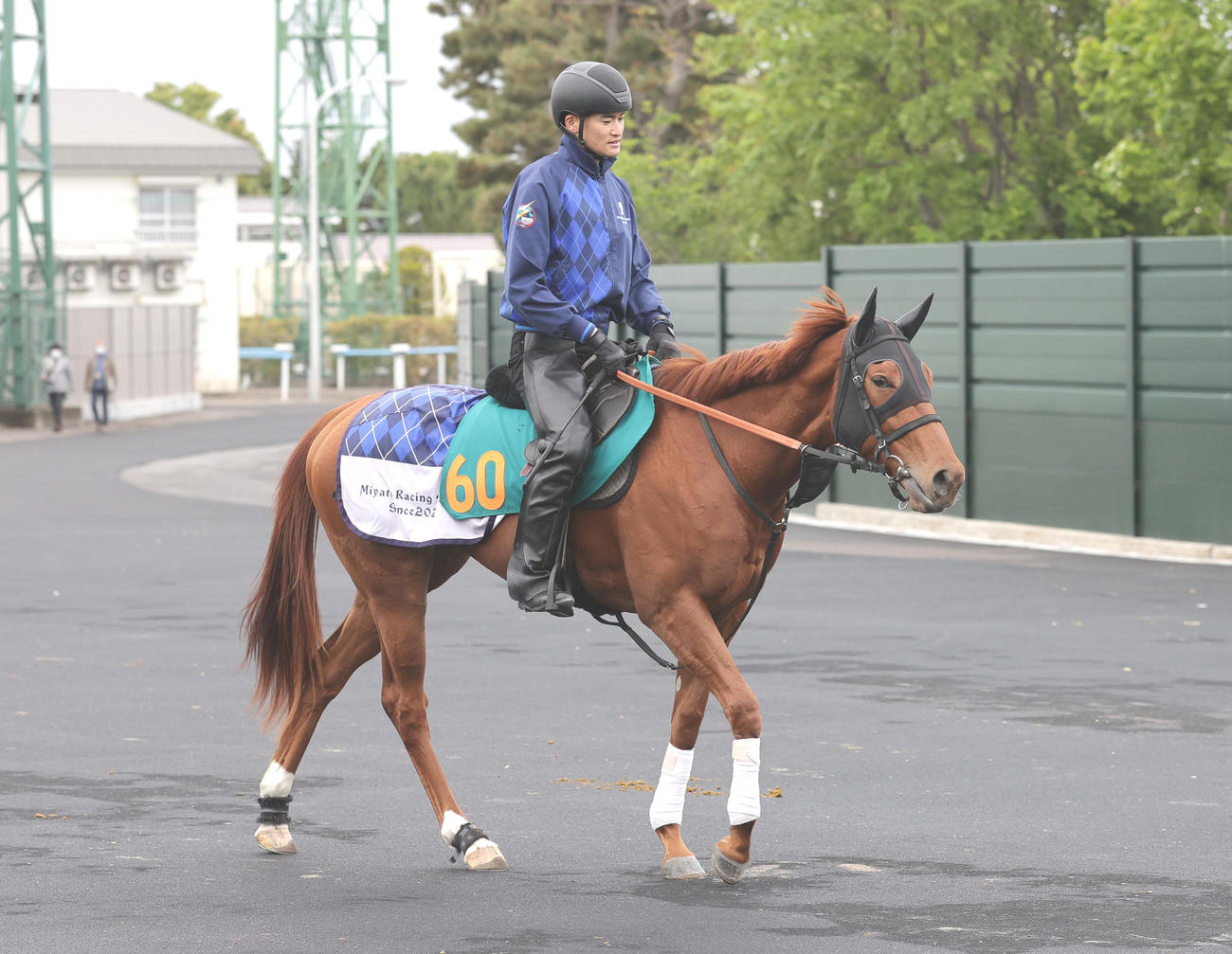 今週デビュー予定のエリカキルシェは、函館競馬場で順調な調整を積む