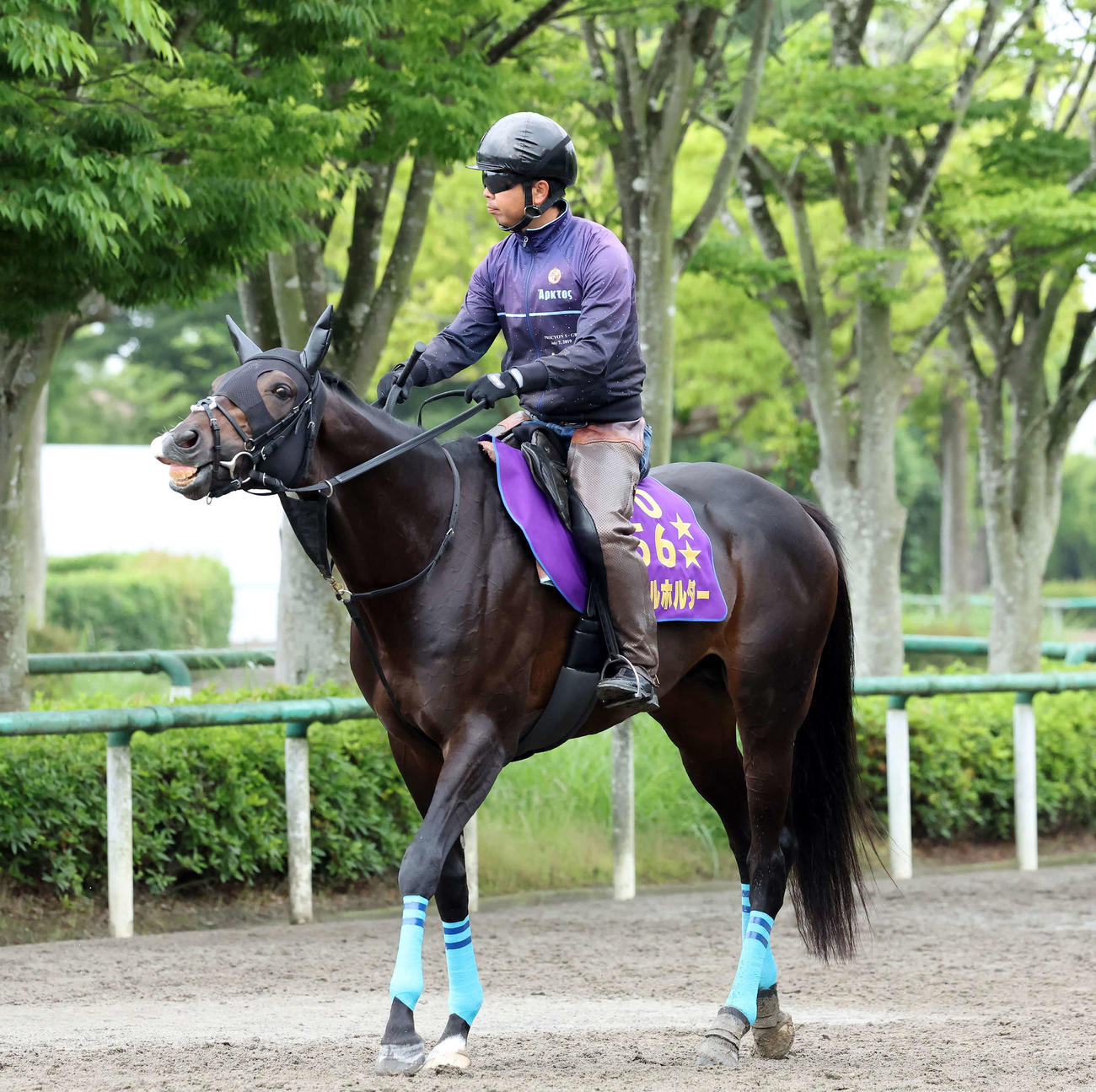 馬場へ向かうタイトルホルダー（撮影・丹羽敏通）