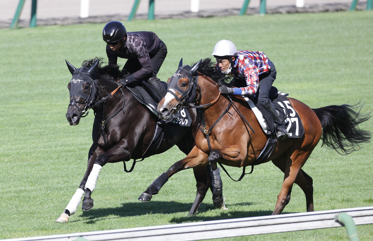 函館芝コースで、併せ馬で追い切られるナムラクレア（左）