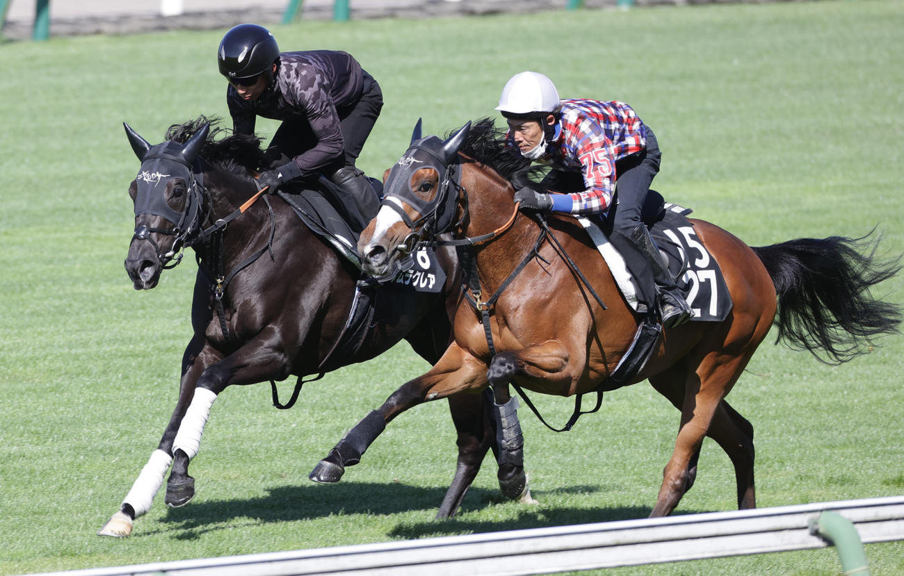 函館芝コースを併せ馬で追い切られるナムラクレア（左）