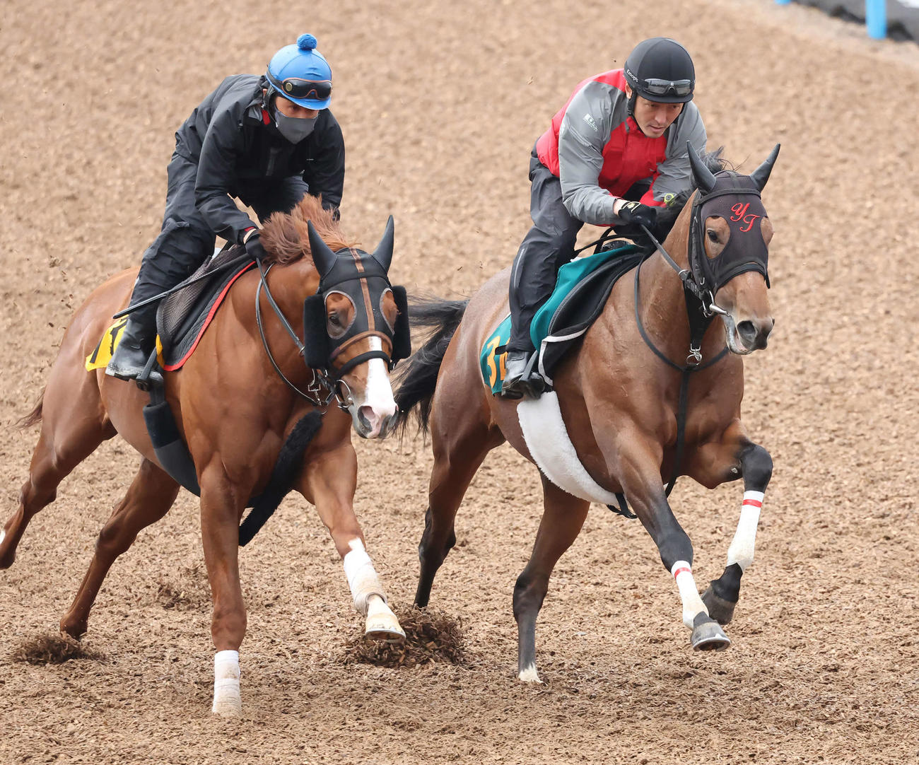 併せ馬で追い切られるグランサバナ（右）（2022年6月8日撮影）