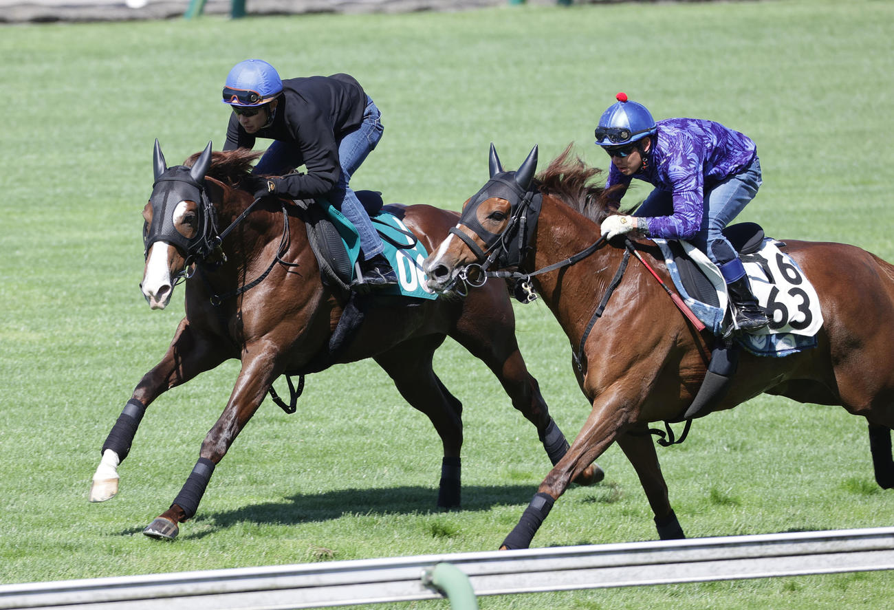武豊騎手を背に、函館芝コースで併せ馬で追い切られるクリダーム（左）