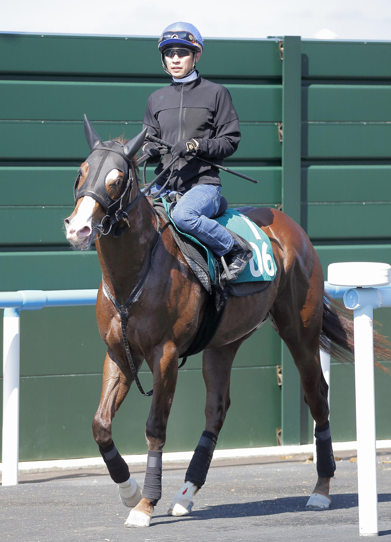 須貝厩舎の新馬クリダームの追い切りに騎乗した武豊騎手
