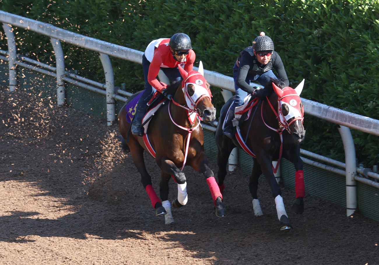 坂路を併せ馬で追い切るパンサラッサ（左）