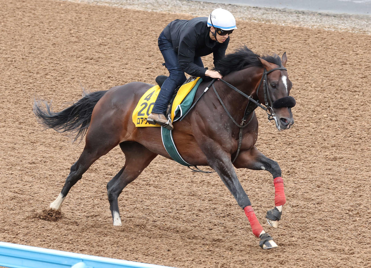 ガロアクリークは石橋騎手を背に美浦ウッドを単走で追い切られた（撮影・丹羽敏通）