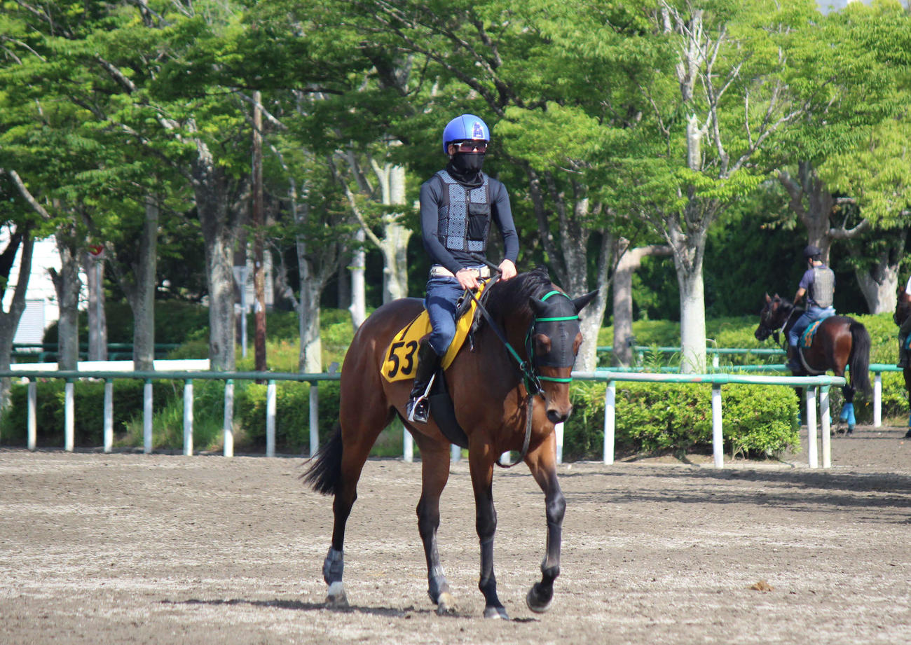 今週から実戦復帰する大江原圭騎手（撮影・木南友輔）