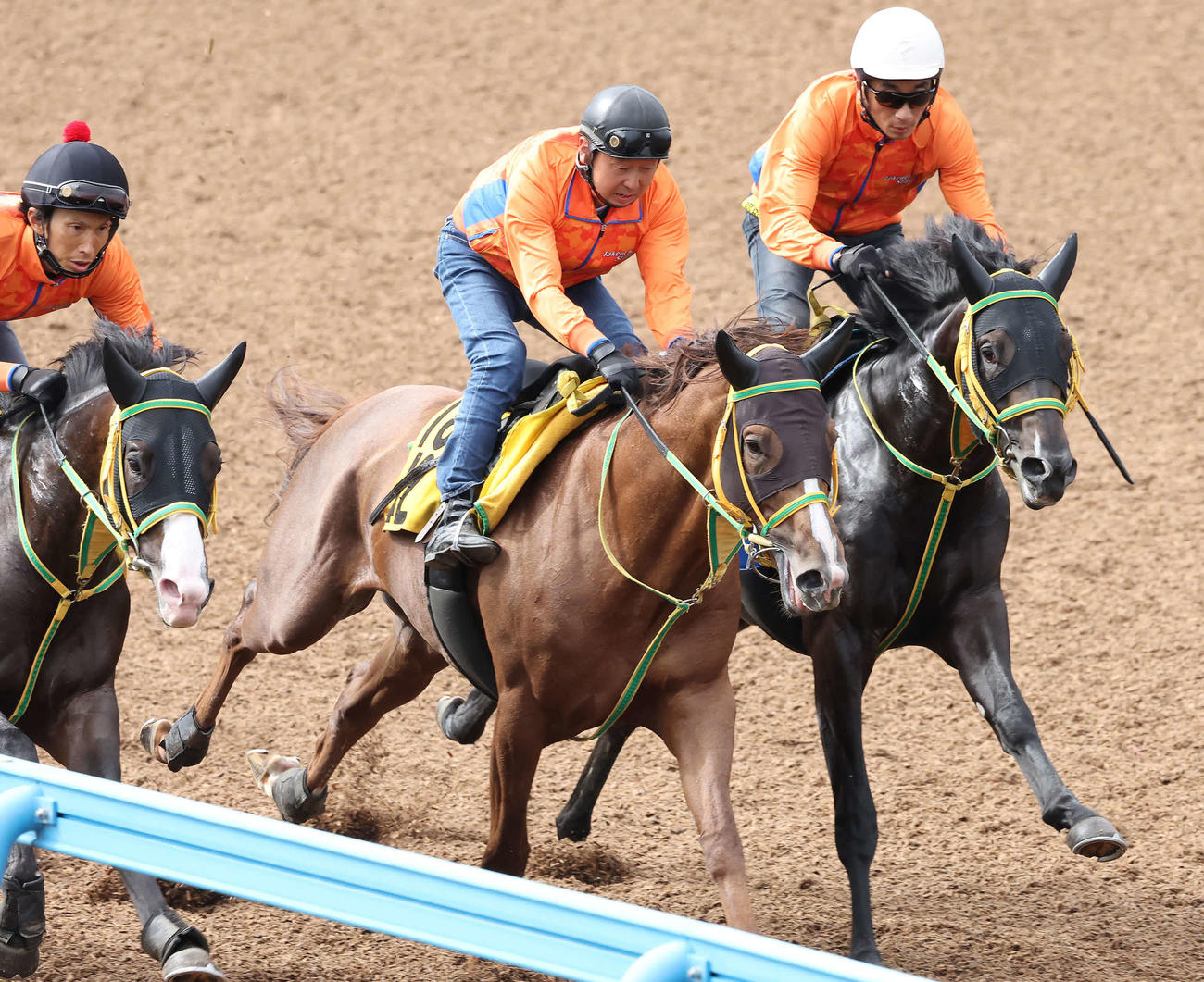 6月8日、グッドルックス（右）は美浦ウッドを3頭併せで追い切られた