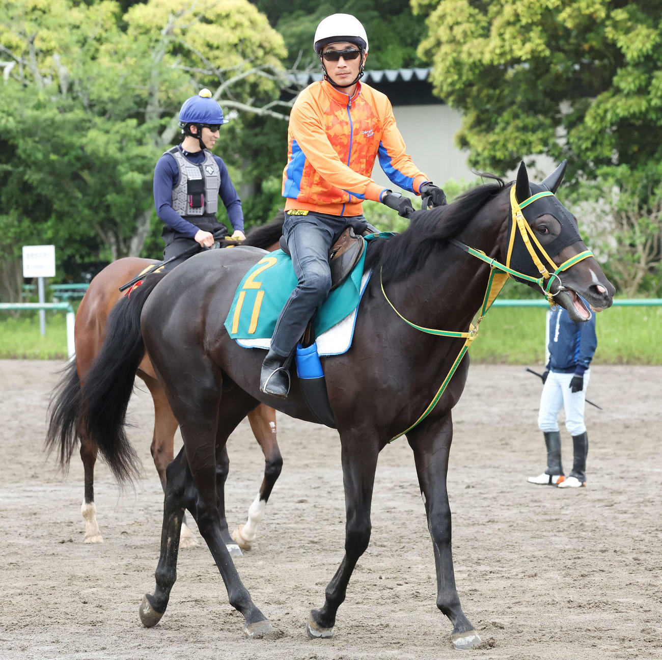 馬場へ向かうグッドルックス（6月8日撮影）