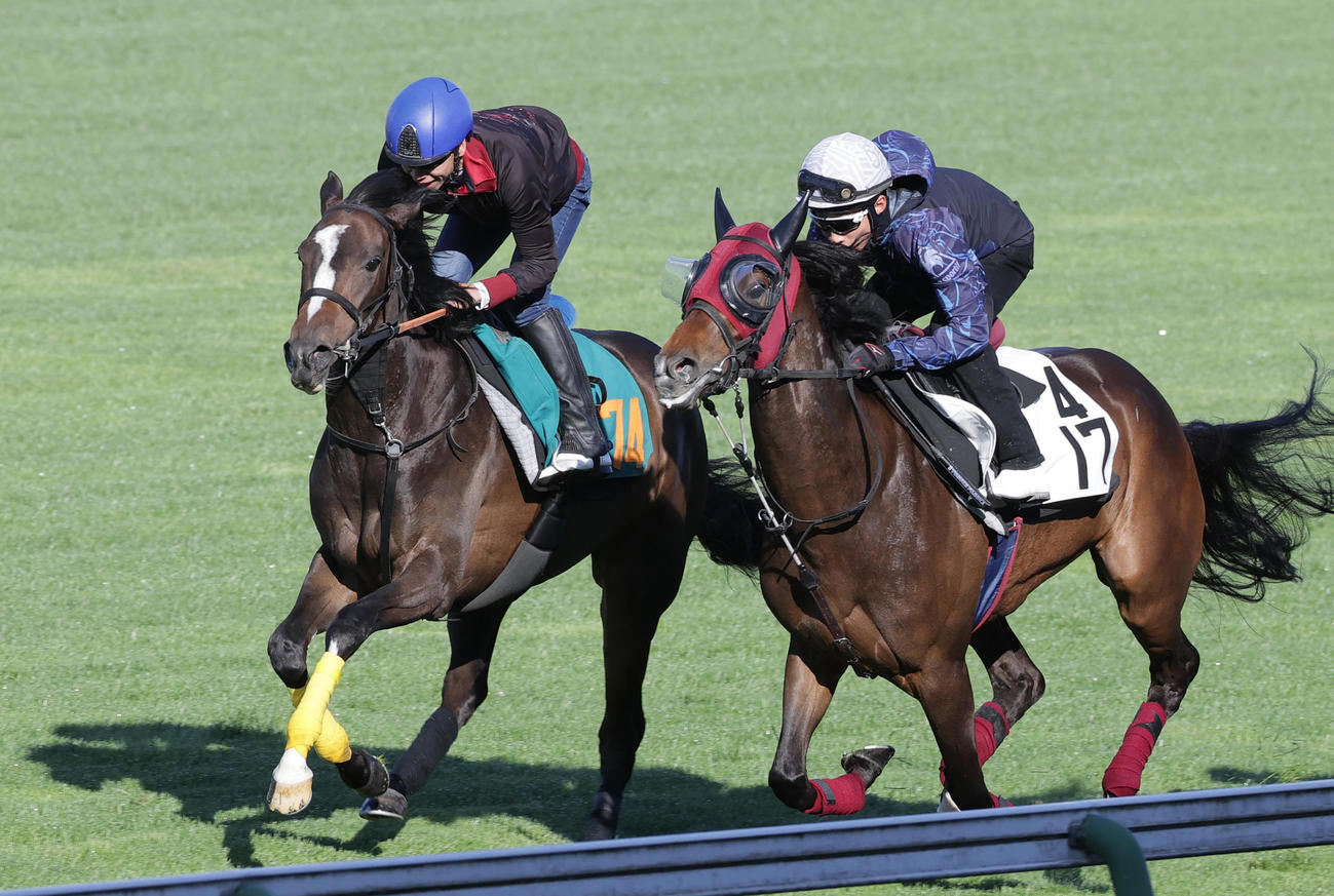 横山武史騎手を背に、函館芝コースで併せ馬で追い切られたトラネスハープ（左）
