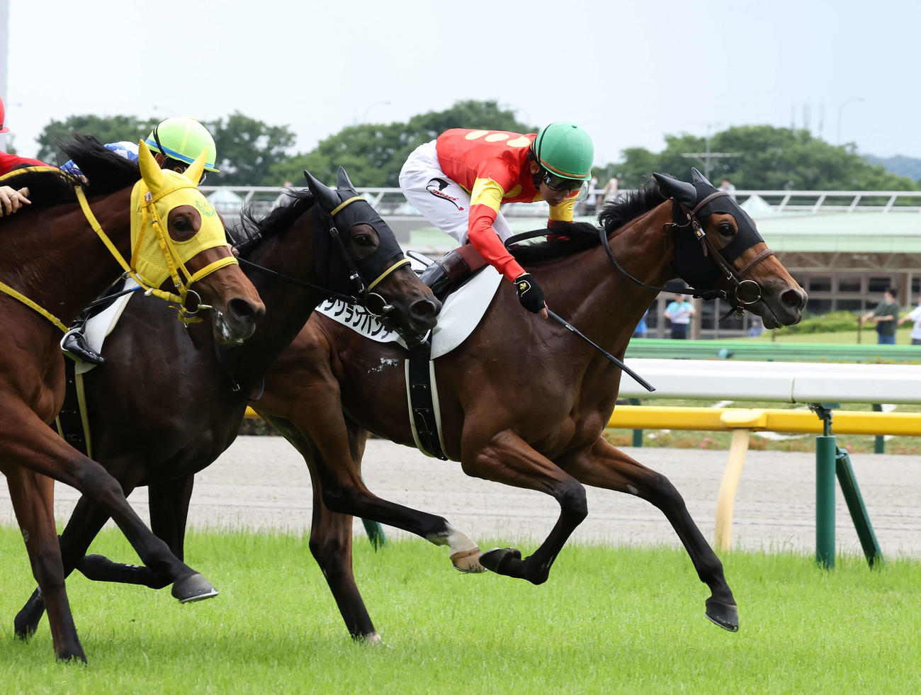 東京5R、デビュー戦を制したロッソランパンテと三浦騎手（右）（撮影・丹羽敏通）