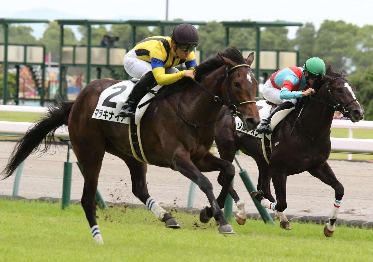 レゾルシオンをかわすマラキナイア（左）（撮影・渦原淳）