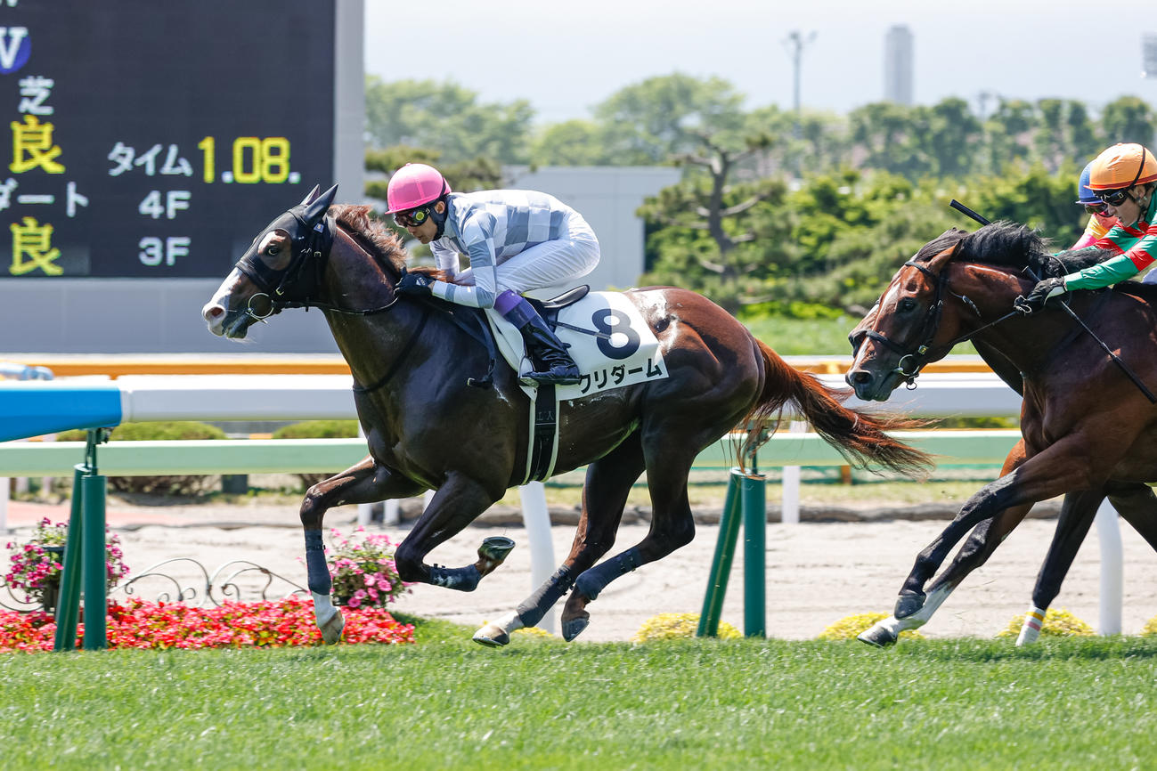 デビュー戦を制したクリダーム（撮影・村野早祐）